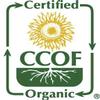 McCabe Organic White Rice - Rich in Fibers & Minerals | USDA Certified Organic and CCOF Certified | Product of USA | 3 Lbs Pack of 3 view 4