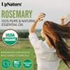 UpNature Organic Rosemary Oil - 100% Pure Rosemary for Hair, Scalp, Skin, 2oz view 2
