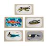 Jose Gourmet Portuguese Sardines - Variety Pack (5 items) view 1