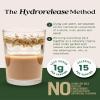 Elmhurst 1925 French Vanilla Oat Creamer - 16 Ounce (Pack of 6) Dairy-Free, Vegan, Kosher, Low Sugar, Shelf Stable Creamer Made with Water & Oat Grains for Healthier, Simpler Plant Based Alternatives view 3