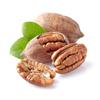 Anna and Sarah Premium Georgian Raw Fresh Pecans in Shell (4.5 Lbs in Bag) view 2