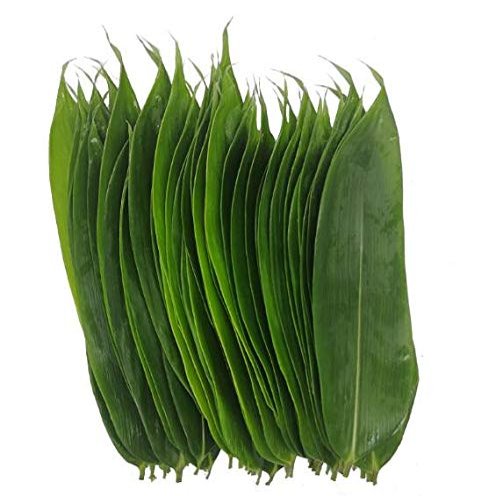 100 Fresh Sheets Vacuum Packed Bamboo LeavesNatural Wild Bamboo Leaf Sushi Cuisine Barbecue Decoration Zongzi Material - L Size