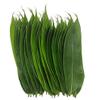 100 Fresh Sheets Vacuum Packed Bamboo LeavesNatural Wild Bamboo Leaf Sushi Cuisine Barbecue Decoration Zongzi Material - L Size view 1