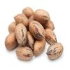 Anna and Sarah Premium Georgian Raw Fresh Pecans in Shell 9 Lbs in Box view 1