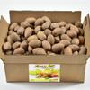 Anna and Sarah Premium Georgian Raw Fresh Pecans in Shell 9 Lbs in Box view 2
