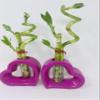 Lucky Bamboo Pink Heart Vase Arrangement -JMBamboo (3) view 2