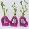Lucky Bamboo Pink Heart Vase Arrangement -JMBamboo (2) view 4