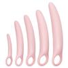 Lyniya 5-Pack Silicone Pelvic Floor Muscle Dilator Trainer Set for Women Large Set view 1