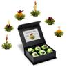 Creano Tea Flowers Mix 6pcs Set Blooming Tea Green Tea in Elegant Magnetic Box with Silver Embossing view 1
