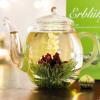 Creano Tea Flowers Mix 6pcs Set Blooming Tea Green Tea in Elegant Magnetic Box with Silver Embossing view 3