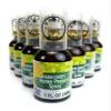 Brazilian Green Bee Propolis and Rain Forest Honey Oral Spray, 12 Bottle Pack view 1