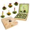 Creano Flowering Abloom Tea - Blooming Gift Set in Stylish Wooden Box, 12pcs view 1