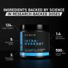 Kaged Intra-Workout Powder In-Kaged BCAAs, L-Citrulline & Beta-Alanine for Endurance 124mg Organic PurCaf Caffeine Coconut Water Powder 20 Servings Blue Raspberry view 2