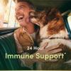 Nature's Bounty Immune 24 Hour +, 2 Softgels per Day, 50 Count view 2