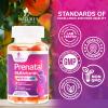 Prenatal Vitamins for Women 1335mcg - Pregnancy Vitamins Gummies with Folic Acid, Vitamin A, C, D3, B12, B6 - Prenatal Multivitamin Gummy for for Fetal Support, Pregnant & Nursing Women - 60 Gummies view 4