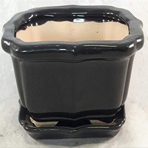 Bonsai Tree Pot black 6 Inch Bonsai Pots with Trays- unique from Jmbamboo