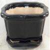 Bonsai Tree Pot black 6 Inch Bonsai Pots with Trays- unique from Jmbamboo view 1