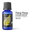Activate Ylang Ylang Organic Essential Oil 100% Pure, USDA Certified Organic, Premium Grade, Undiluted, Natural, Aromatherapy & Diffuser Use 10ml view 2