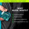 NUDE MINTS | Double Action Liquid Capsules | Mouth Watering Mint - Lasts 3x Longer - 3x Stronger - Extreme Bad Breath Solution For Adults - Sugar Free, 0 Calorie - Melon - 10 Pack - 300 Capsules view 2
