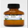 Armoise Mugwort Pure Essential Oil (1.70 oz, ZIN: 305467) - 3 Pack view 1