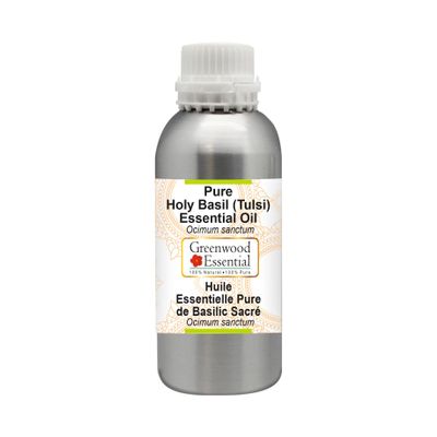 Greenwood Essential Pure Holy Basil Essential Oil (Ocimum Sanctum) Steam Distilled 300ml (10 oz)