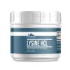 Earthborn Elements Lysine HCL Powder Always Pure, No Fillers Or Additives (1.5 Pound) view 1