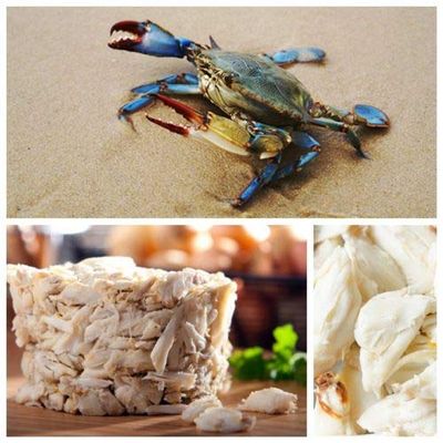 Blue Crab Meat (Jumbo Lump)