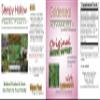 Goldenseal-Echinacea Immune Support 4 oz. | Hydrastis Canadensis-Echinacea angustifolia | Farm Direct | Pack of 4 view 2