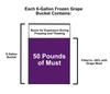 2020 Merlot Bucket Frozen Grape Must 6 Gallons - Livermore Valley California view 3