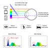 LifeArt Blue Light Blocking Glasses, Anti Eyestrain, Computer Reading Glasses, Gaming Glasses, TV Glasses for Women Men, Stylish Unisex Alloy Oval Frame (Silver, 1.25 Magnification) view 2