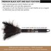 12 Pack Retractable Feather Duster (12 to 16 Inches) view 3