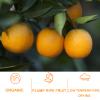 Dried Orange Slices, Low temperature drying Handmade Fruit Tea, Edible Edible Dried Orange Slices For Cake Decoration, Potpourri, Candle Crafts, Table Scatters (250g/8.8oz) (Orange) view 3