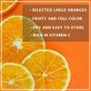 Dried Orange Slices, Low temperature drying Handmade Fruit Tea, Edible Edible Dried Orange Slices For Cake Decoration, Potpourri, Candle Crafts, Table Scatters (250g/8.8oz) (Orange) view 4