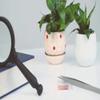 10x Handheld Magnifying Glass Magnifier for Children and The Elderly for Reading Scientific Observation Daily Life view 3