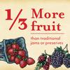 Oregon Growers Red Raspberry Fruit Spread - Organic Raspberry Jam, Organic Raspberries, Raspberry, Red Raspberry Jam Made In Oregon, All Natural Ingredients, Non-GMO - 12 Oz (Pack of 2) view 4