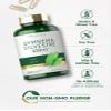 Carlyle Gymnema Sylvestre Capsules | 200 Count | Non-GMO and Gluten Free Supplement view 4