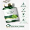Carlyle Chanca Piedra | 200 Capsules | Non-GMO and Gluten Free Traditional Herb Formula view 4