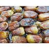 100% Natural Egyptian Semi Dry Unpressed Medium Sized Dates With Pits With Very Sweet Taste Halal Packed And Protected In Cartoon Box Tamar Tamr Tamaar Ramadan Halal   ( 1 Pack / 700 gm ) Premium view 1