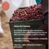 5lb Bulk Cascara | Dried Coffee Cherry Tea | Sustainably Sourced (Costa Rica) view 2