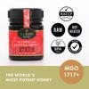 BIOSOTA Organic Manuka Honey MGO 1717+ - Medical Grade Manuka Honey from Australia NPA/ULF 31+, 100% Raw Unheated Pure Honey, 8.8oz (1717+) view 2