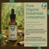 AlchePharma Oats Liquid Extract | Organic Fresh Milky Oat Seed (Avena fatua) | 1:2 Herb Strength Ratio | Herbal Supplement Tincture view 2