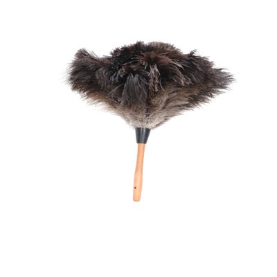 Royal Duster, Premium Genuine Ostrich Feather Duster 14 inch