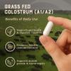 HEART & SOIL 100% Grass Fed & Finished Colostrum Supplement from Regenerative Cattle for Gut, Muscle & Immune Health  3000mg Bovine Colostrum Capsules - Gut Health for Men & Women 180 Capsules view 3