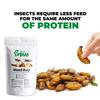 Erbies Edible Bug Mixed Trail Mix, 15g Bag, Seasoned and Crunchy Insects, Crickets, Grasshoppers, Silkworm Pupae, and Sago Worms, Protein Packed Unique Snacks, Fun Snacks Gift Idea, 1-Pack view 4