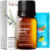 Bay Leaf & Juniper Berry Essential Oil Set - Aromatherapy Grade Essential Oils Set - 2x0.34 fl oz view 3