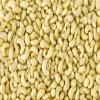 BSD Organics Snack Whole Cashew / Kaajoo / Muntiripparuppu nuts (100 Gram / 3.5 Ounce) view 3