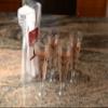 [40 PACK] Plastic Champagne Flutes 5 oz - Elegant Clear Disposable Flutes for Champagne, Mimosas, Cocktails, Wine, and Sodas, Perfect for Weddings, Parties, Celebrations, and Toasting Events view 4