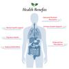 Foods For Gut Lactobacillus Plantarum Probiotic Powder 400 Billion cfu's | Made in USA | No Additives | Direct from Manufacturer | No Third-Party Storage | Immune Support | 30 Grams (1.05 Oz) view 4