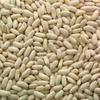 Bulk Dry Cannellini Beans 25 Pounds view 1