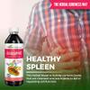 Papaya Leaf Blood Support Liquid - 15X Strength - Papaya Leaf Extract - Healthy Platelets, Blood Cleanse, Digestion, Papaya Enzyme -12oz Liquid - Herbal Goodness (1 bttl) view 4